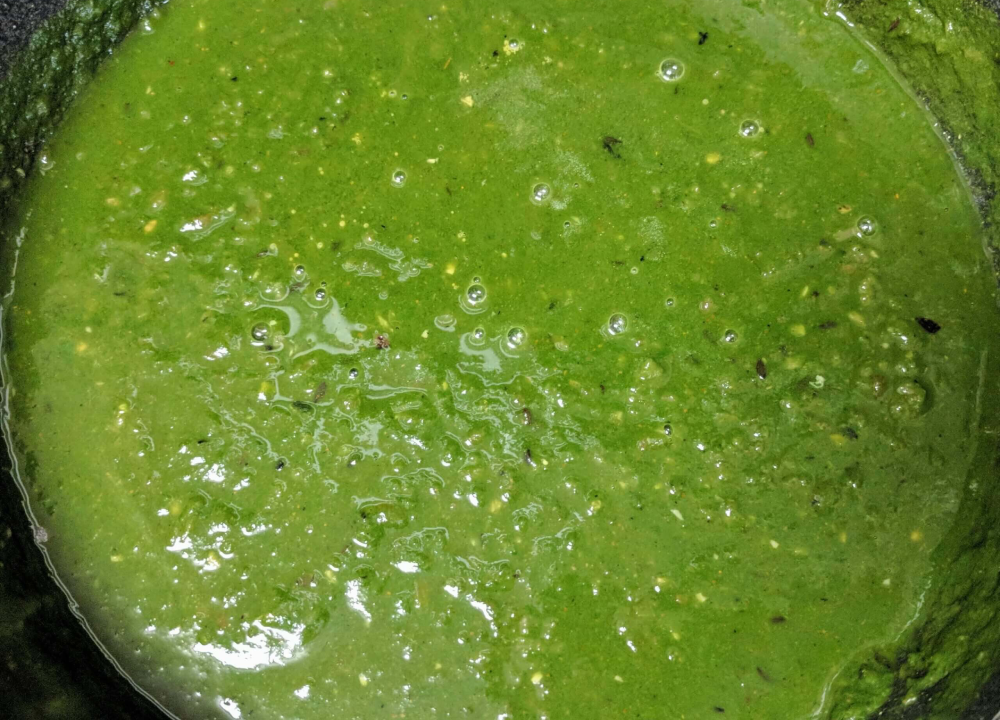 Concentrated Palak Gravy